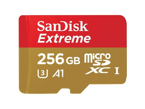 MicroSD 卡 (SanDisk) 256GB